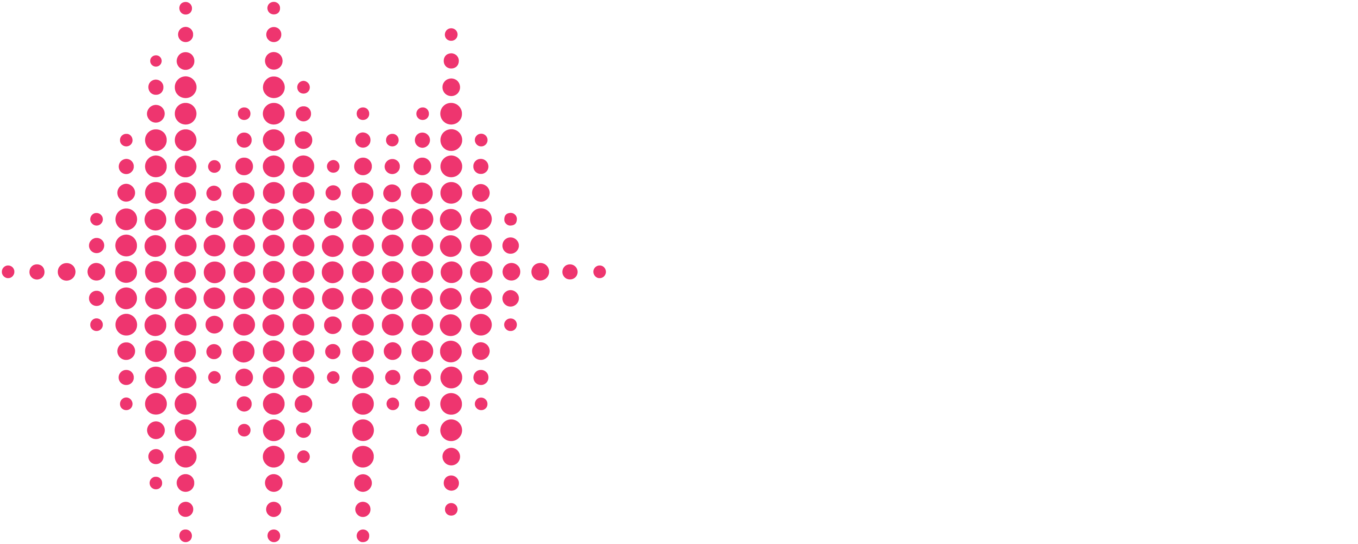 Studio Assistant